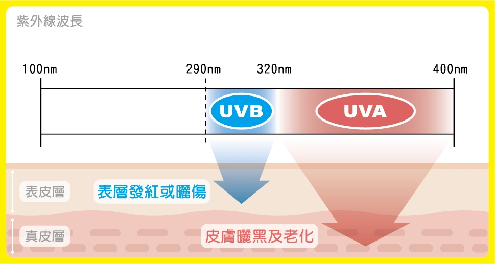 防曬產品怎麼挑？食藥署教您聰明防曬