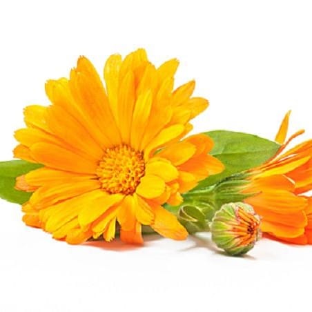 減緩改善不適感