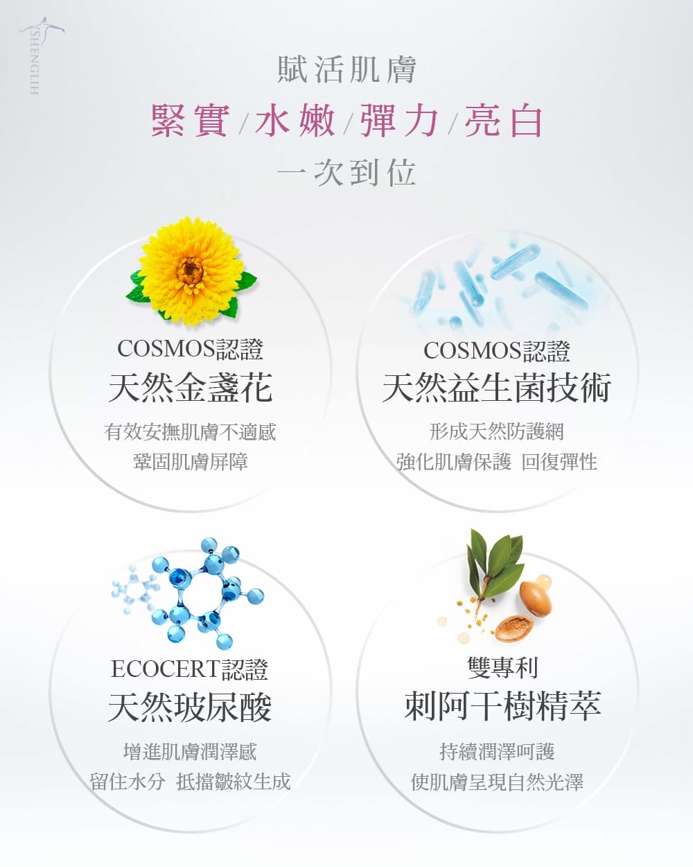 超水潤緊緻保濕安瓶 超水潤緊緻保濕安瓶