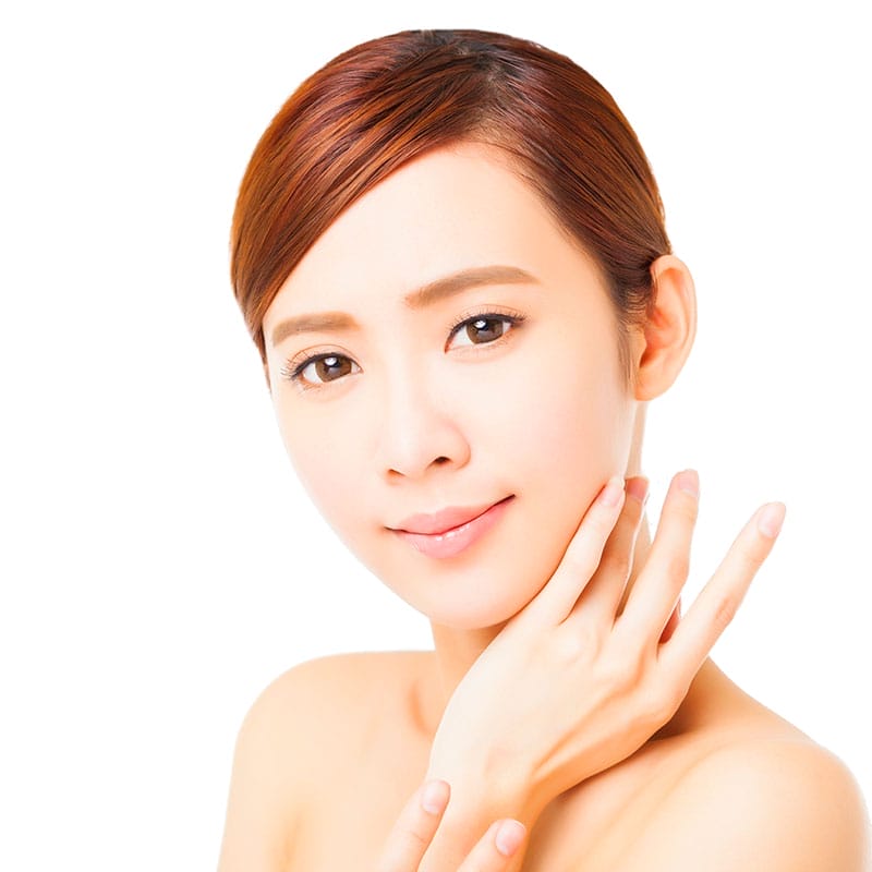 About ShengLih About ShengLih